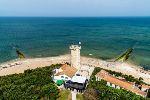Quelles croisières proposent des excursions pour observer les baleines à bosse en Islande?